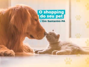 Foto de Yup Pet Santarém em Santarém, PA por Solutudo