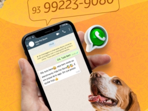 Foto de Yup Pet Santarém em Santarém, PA por Solutudo