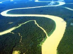 Foto de Amazon Wildlife Tours em Manaus, AM por Solutudo