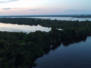 Foto de Amazon Wildlife Tours em Manaus, AM por Solutudo