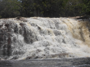 Foto de Amazon Wildlife Tours em Manaus, AM por Solutudo