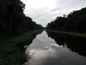 Foto de Amazon Wildlife Tours em Manaus, AM por Solutudo