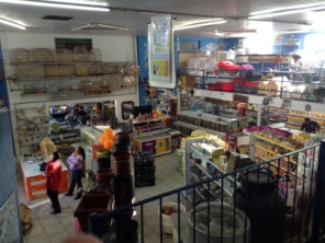 Foto de Bichos & Cia em Botucatu, SP por Solutudo