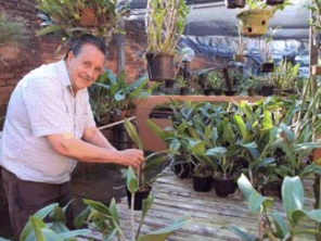 Foto de ZDZ Orquídeas em Botucatu, SP por Solutudo