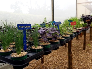 Foto de Caco Loja Agrícola em Botucatu, SP por Solutudo