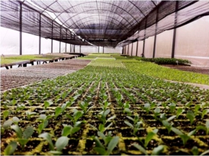 Foto de Caco Loja Agrícola em Botucatu, SP por Solutudo
