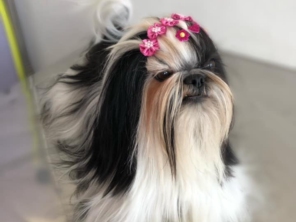 Foto galeria da empresa