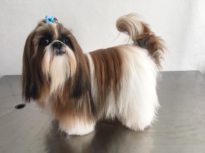 Foto galeria da empresa