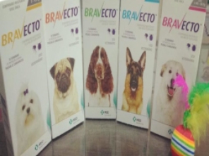 Foto de Toca dos Bichos em Botucatu, SP por Solutudo