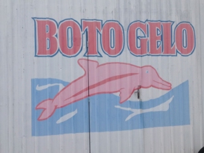 Foto de Boto Gelo em Botucatu, SP por Solutudo