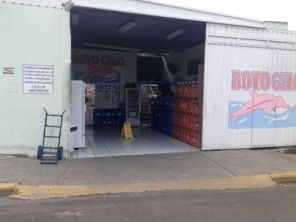 Foto de Boto Gelo em Botucatu, SP por Solutudo