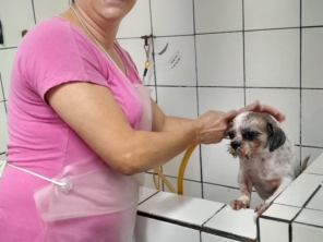 Foto de Unavet em Botucatu, SP por Solutudo