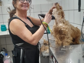 Foto de Unavet em Botucatu, SP por Solutudo