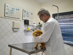 Foto galeria da empresa