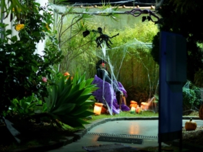 Foto galeria da empresa