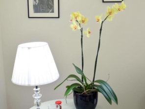 Foto de Vanda Rabelo CRP 21.849-9 em Botucatu, SP por Solutudo