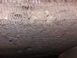 Foto de Gelo Fort Refrigeração em Botucatu, SP por Solutudo