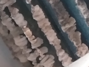 Foto de Gelo Fort Refrigeração em Botucatu, SP por Solutudo