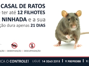 Foto de DDL Dedetizadora Lençoense em Lençóis Paulista, SP por Solutudo
