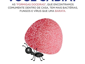 Foto de DDL Dedetizadora Lençoense em Lençóis Paulista, SP por Solutudo