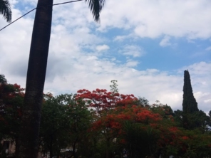 Foto de Museu Histórico e Pedagógico Padre Manoel da Nóbrega em São Manuel, SP por Solutudo