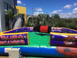 Foto de Paulinho Araújo Aluguel de Brinquedos em Botucatu, SP por Solutudo