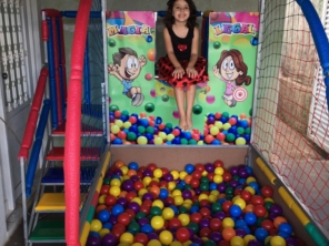 Foto de Paulinho Araújo Aluguel de Brinquedos em Botucatu, SP por Solutudo