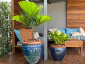 Foto de Multiverde Garden Center em São Manuel, SP por Solutudo