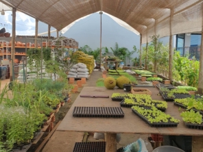 Foto de Multiverde Garden Center em São Manuel, SP por Solutudo