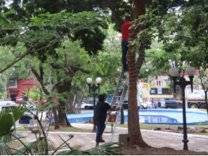 Foto de Prefeitura Municipal de Bauru em Bauru, SP por Solutudo