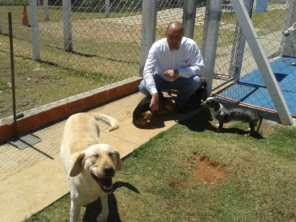 Foto de Clínica Veterinária Gato.Cão Avaré em Avaré, SP por Solutudo