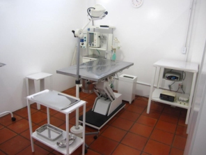 Foto de Clínica Veterinária Gato.Cão Avaré em Avaré, SP por Solutudo