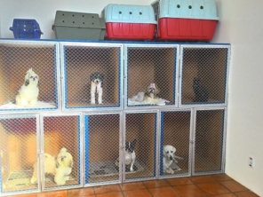 Foto de Clínica Veterinária Gato.Cão Avaré em Avaré, SP por Solutudo
