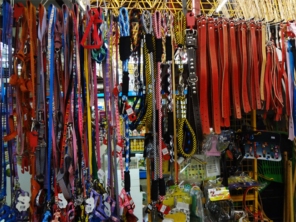 Foto galeria da empresa