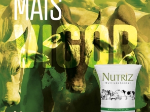 Foto de Nutriz Nutrição Animal em São Manuel, SP por Solutudo