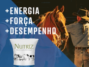 Foto de Nutriz Nutrição Animal em São Manuel, SP por Solutudo