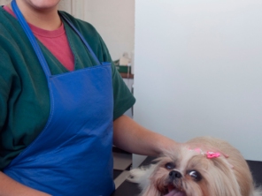 Foto de Animales Pet Store em Botucatu, SP por Solutudo