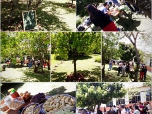 coffee break no jardim