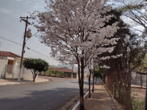 Foto de Clube Alvorada de Pederneiras em Pederneiras, SP por Solutudo