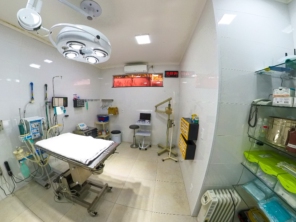 Foto galeria da empresa