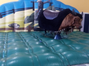 Foto de Matheus Brinquedos em Botucatu, SP por Solutudo