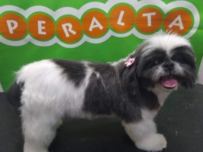 Foto de Peralta Pet Shop em Lençóis Paulista, SP por Solutudo