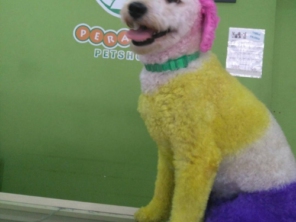 Foto galeria da empresa