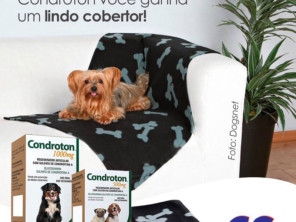 Foto de Comercial Santarém em Lençóis Paulista, SP por Solutudo