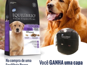 Foto de Comercial Santarém em Lençóis Paulista, SP por Solutudo