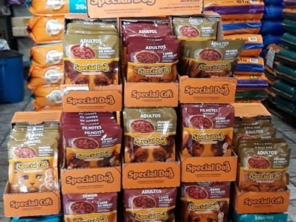 Foto galeria da empresa