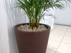 Foto de Cheiro de Terra Jardinagem em Lençóis Paulista, SP por Solutudo