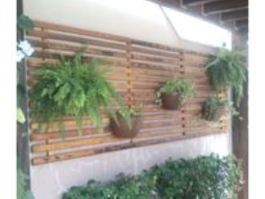 Foto de Cheiro de Terra Jardinagem em Lençóis Paulista, SP por Solutudo
