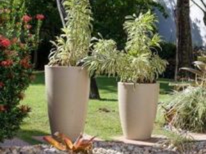 Foto de Cheiro de Terra Jardinagem em Lençóis Paulista, SP por Solutudo
