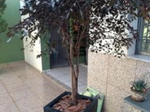 Foto de Cheiro de Terra Jardinagem em Lençóis Paulista, SP por Solutudo